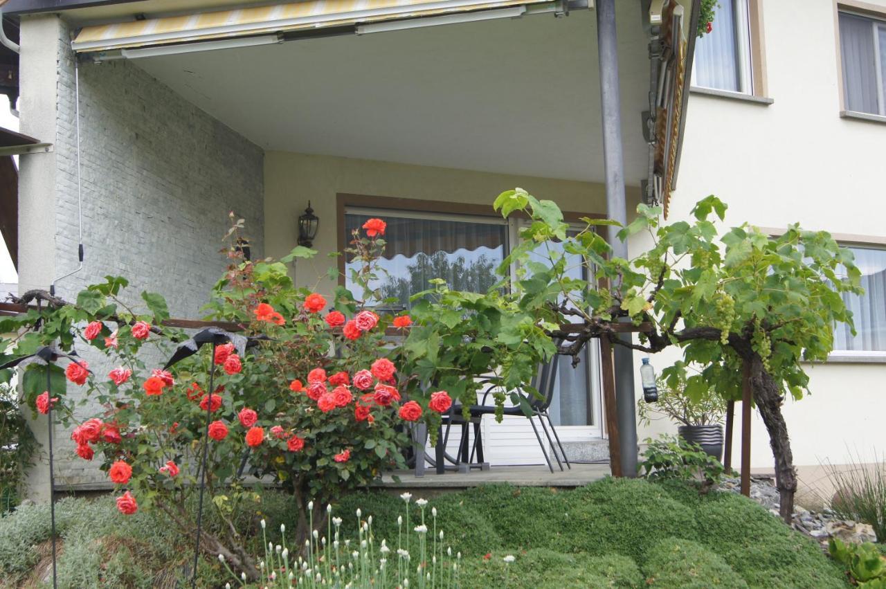 Ferienwohnung Beate Höchst المظهر الخارجي الصورة