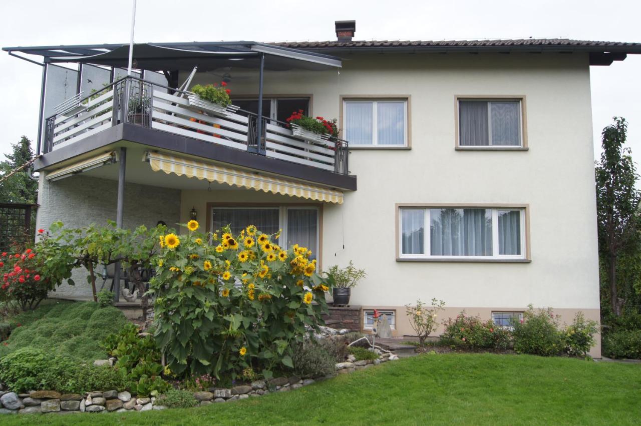 Ferienwohnung Beate Höchst المظهر الخارجي الصورة